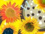 Girasole 